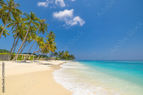 Fototapeta Naklejka Na Ścianę i Meble -  Best Maldives island tourism beach. Tropical sunny sea sky summer coastline, white sand palm trees. Luxury travel vacation destination. Exotic beach landscape. Amazing nature relax freedom nature