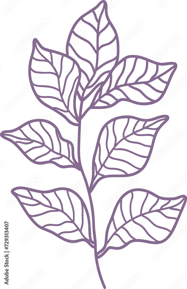 leaves. Hand drawn decorative elements