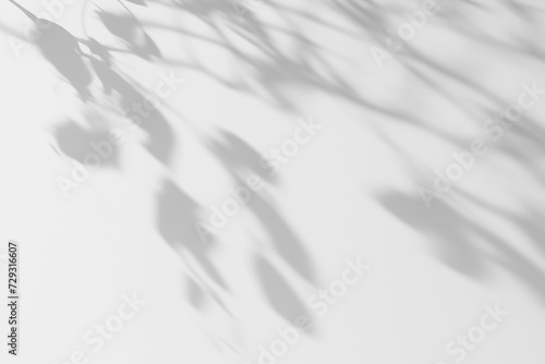 Realistic Plant Leaves Shadow Overlay on the Wall