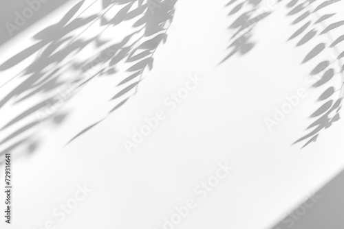 Nature Realistic Plant Leaves Shadow Overlay Mask 