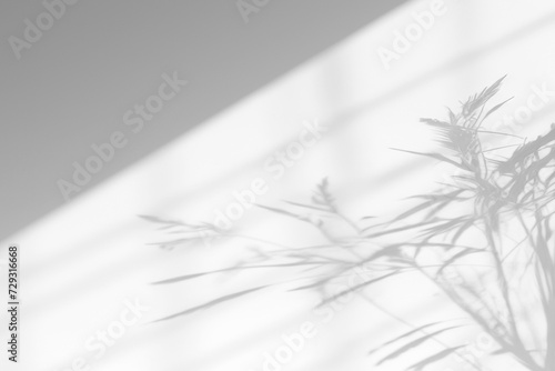 Realistic Tree Branches Plants Shadow Overlay