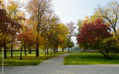 The walkway passes among the trees with multicolored foliage in an autumn park