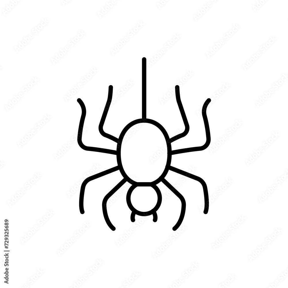 Spider outline icons, minimalist vector illustration ,simple transparent graphic element .Isolated on white background Spider outline icons, minimalist vector illustration ,simple transparent graphic element .Isolated on white background