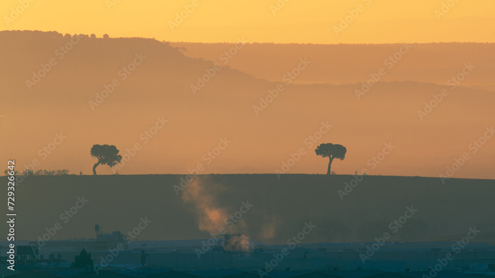 Silhouette of two pine trees at the edge of an industrial landscape
