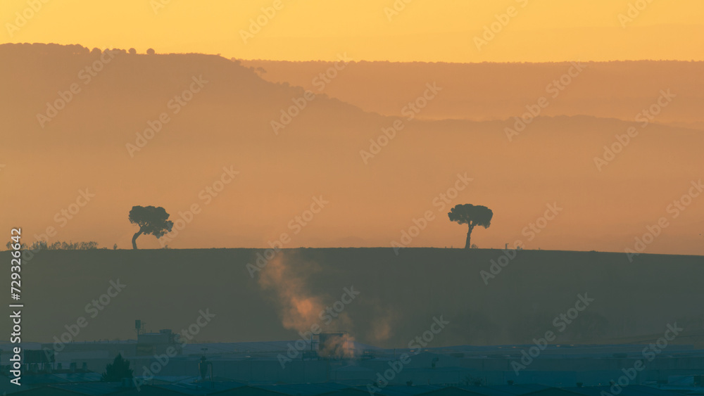 Silhouette of two pine trees at the edge of an industrial landscape Silhouette of two pine trees at the edge of an industrial landscape