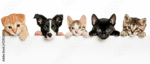 A delightful array of puppies and a kitten peeking over a barrier, with eyes full of curiosity © GoodandEvil