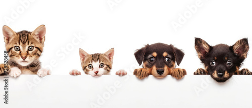 Playful kittens and puppies peeking over edge, showcasing a blend of innocence and mischief © GoodandEvil