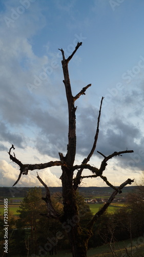 Konturen des Fortschritts  Silhouette eines modernen Baus im Abendlicht