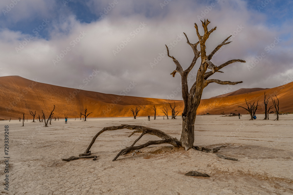 Dead Camelthorn Trees against red dunes and blue sky in Deadvlei, Sossusvlei. Namib-Naukluft National Park, Namibia, Africa Dead Camelthorn Trees against red dunes and blue sky in Deadvlei, Sossusvlei. Namib-Naukluft National Park, Namibia, Africa