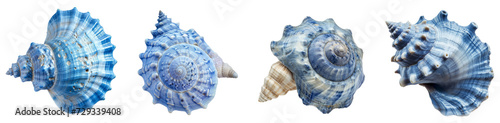 collection of beautiful blue seashells. Isolated on the transparent background. 
