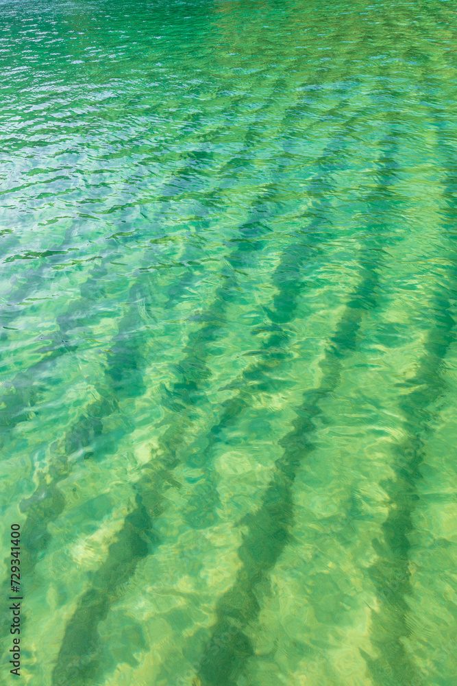 Fototapeta premium Close-up of the crystal clear turquoise waters, with natural ripples caused by the wind. Water texture. Beautiful shades of green in the sea water.