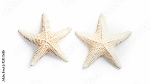 Two different types of white starfish isolated over a white background, ocean, sea, beach, summer vacation design element, flat lay, top view with subtle shadows
