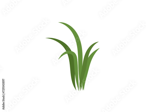 Green grass. Gazon. Vector icon. web version.