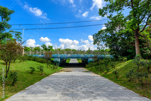 bridge in the park