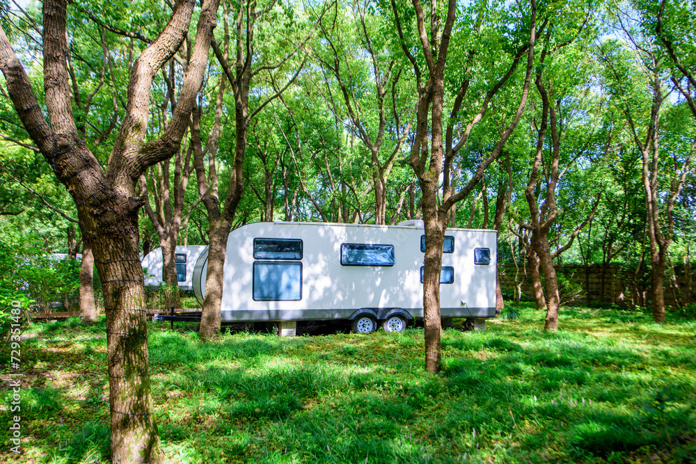 Rv camp in the woods