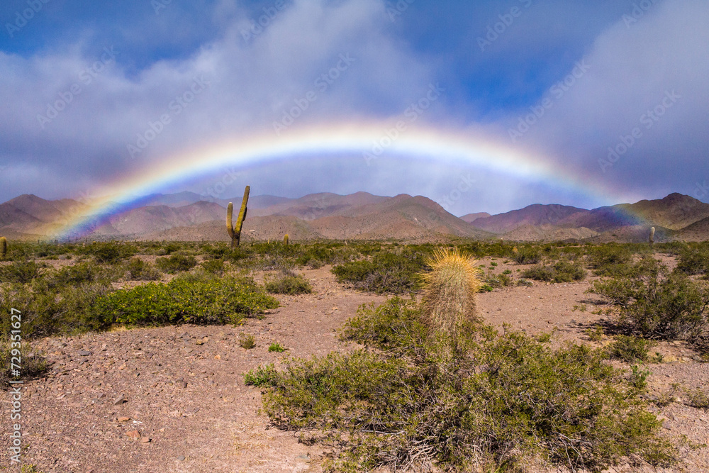 Regenbogen in der Wüste, Nationalpark Los Cardones, Argentinien, Südamerika