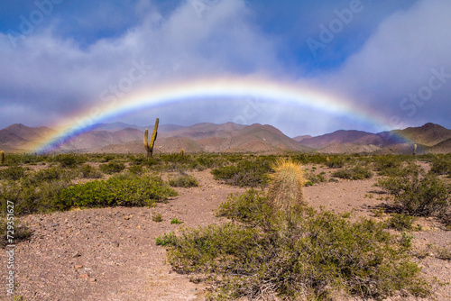 Obraz na płótnie Regenbogen in der Wüste, Nationalpark Los Cardones, Argentinien, Südamerika w salonie