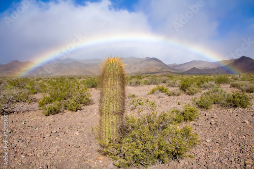 Regenbogen in der Wüste, Nationalpark Los Cardones, Argentinien, Südamerika