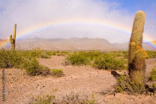 Regenbogen in der Wüste, Nationalpark Los Cardones, Argentinien, Südamerika