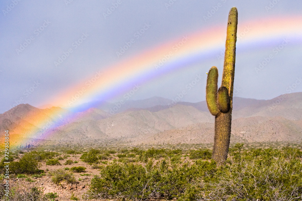 Regenbogen in der Wüste, Nationalpark Los Cardones, Argentinien, Südamerika