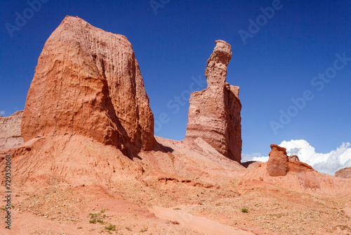 Obraz na płótnie Sandsteinformation, Quebrada de las Conchas, Region Salta, Argentinien, Südamerika w salonie