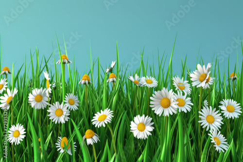 Green grass chamomile dandelion cartoon illustration.