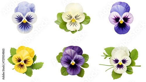 Pansy Collection: Vibrant Floral Blooms for Botanical Designs, Perfumes, and Garden Beautification - Transparent PNG 3D Art