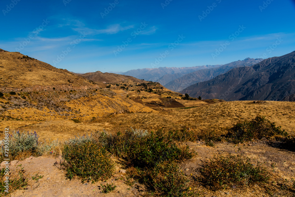 2023 8 16 Peru Plateaus 10 2023 8 16 Peru Plateaus 10