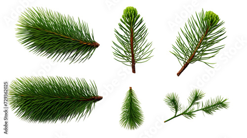 Pine Tree and Plant Collection in Stunning Digital Art 3D  Perfect for Garden Design Elements and Aromatic Perfume Illustrations  Isolated on Transparent Background