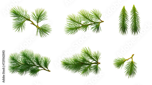 Pine Tree and Plant Collection in Stunning Digital Art 3D, Perfect for Garden Design Elements and Aromatic Perfume Illustrations, Isolated on Transparent Background