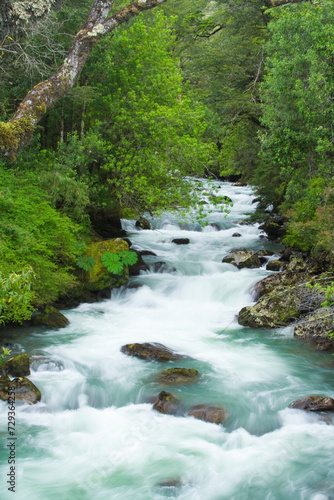 Obraz na płótnie Fluss im Regenwald, Carretera Austral, Chile w salonie