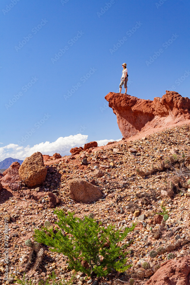 Frau auf Sandsteinfelsen, Aussicht, Quebrada de las Conchas, Region Salta, Argentinien, Südamerika