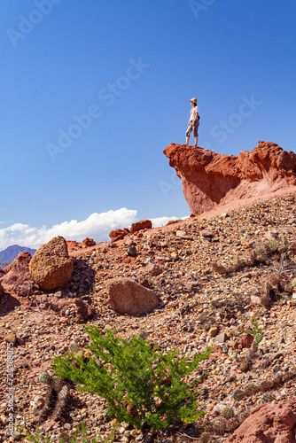 Obraz na płótnie Frau auf Sandsteinfelsen, Aussicht, Quebrada de las Conchas, Region Salta, Argentinien, Südamerika w salonie