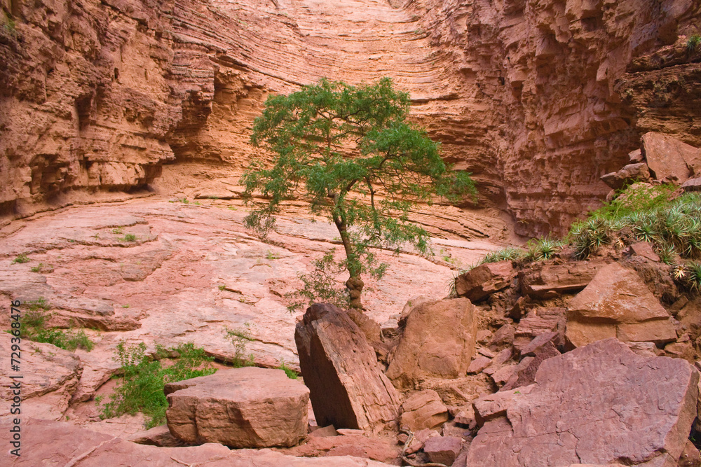 Garganta del Diabolo, Teufelsschlund,Quebrada de las Conchas, Region Salta, Argentinien, Südamerika