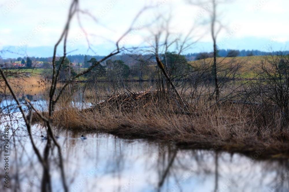 Fototapeta premium Lake