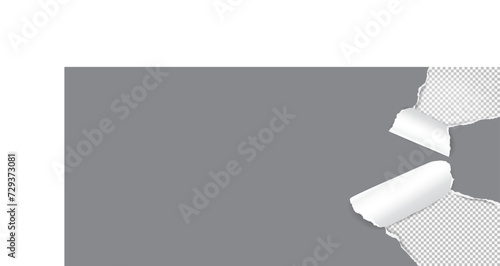 Torn, ripped grey paper corners with soft shadow is on transparent background for text or ad.