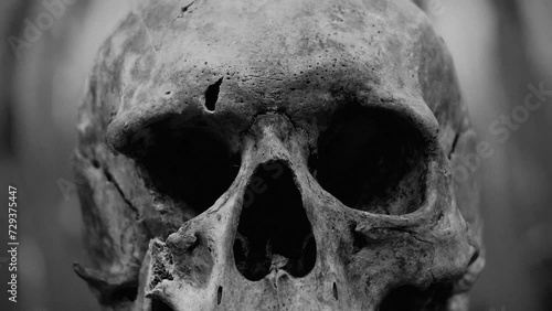 Human skull. Bones of human skull. The face of death. Theme of life and death, past and present. Cinema 4K Slow Motion video in retro style with cinema effects, old filming photo