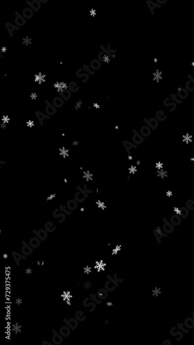 Falling Snowflakes Vertical Animation for Overlay