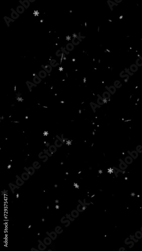 Falling Snowflakes Vertical Animation for Overlay