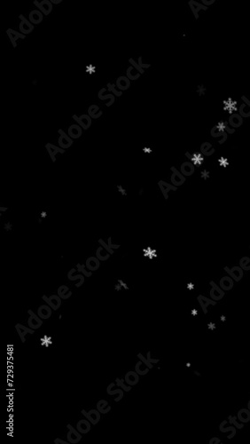 Falling Snowflakes Vertical Animation for Overlay