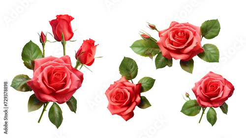 Red Roses and Floral Elements Isolated on Transparent Background for Garden Designs, Perfume Packaging, and Digital Art - Beautifully Crafted 3D PNG Illustrations Enhance Creative Projects wit
