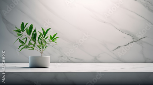 Stone Granite Marble Rock Platform Grey White Background Isolated Empty Blank Plate Podium Pedestral Table Stand Mockup Product Display Showcase Surface Podest Presentation Carrara Calcit Plants Leaf