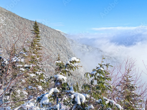 A foggy and mountainside view of the ridge of Mount Washington. This winter day with snowy pine trees and clear skies is a beautiful landscape for the winter in New Hampshire.
