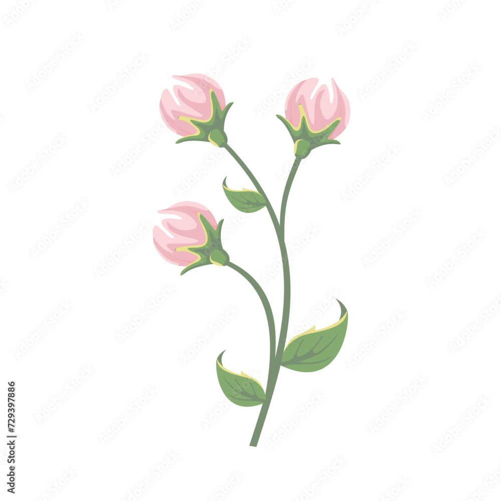 Pink Peony Flower Buds Icon