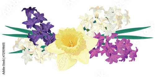 Composition of bright spring flowers. Vector colored hyacinths and yellow daffodils on a white background. Primroses in a cartoon style are suitable for greeting cards for Mother's Day and Women's Day