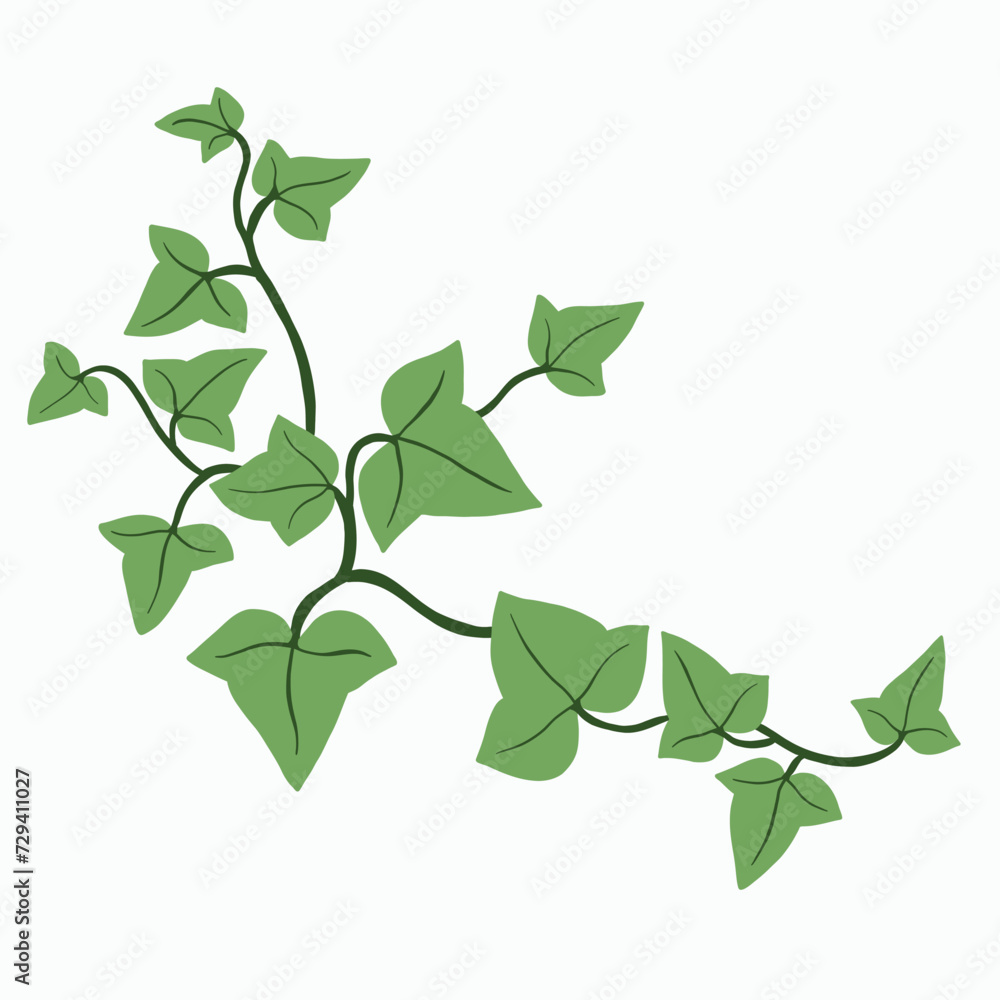 Obraz premium Floral ivy drawing decorative ornament flat design.