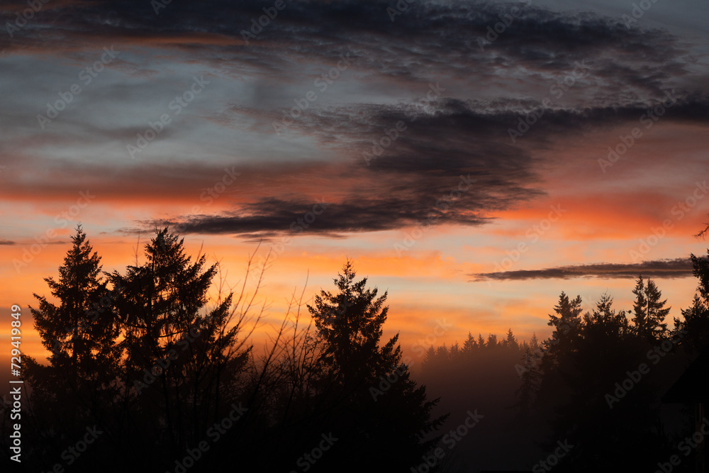 Sunrise over silhouettes of trees, in Eugene, Oregon.