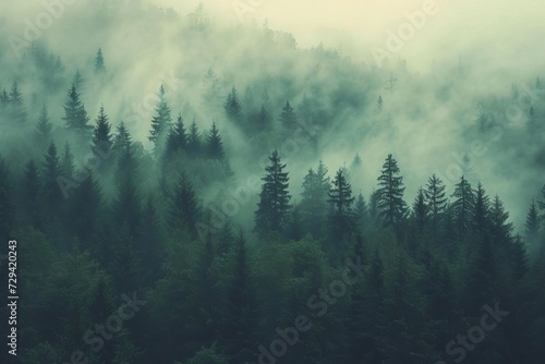 Atmospheric vintage landscape featuring a mist-enveloped fir forest Invoking a sense of nostalgia and mysterious allure with its retro-inspired aesthetic © Bijac