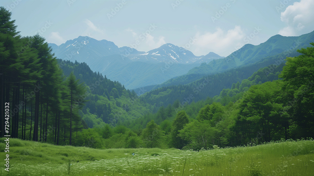 Beautiful view of sky, mountains and green forest.