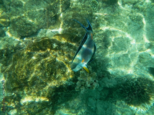 Unterwasserwelt